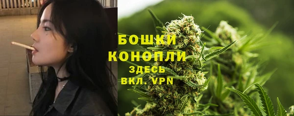 экстази Бородино