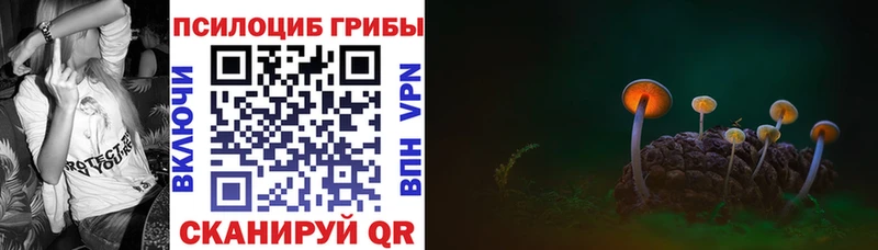 Псилоцибиновые грибы мухоморы  Барыш 
